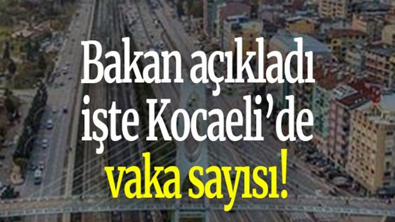 Bakan açıkladı işte Kocaeli’de vaka sayısı!